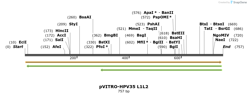 84536_map