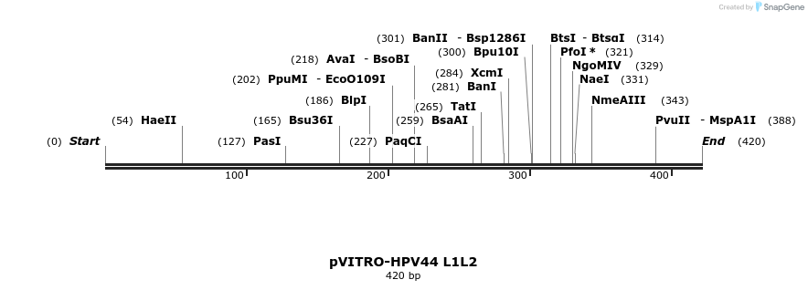 84537_map