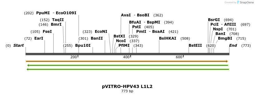 84538_map