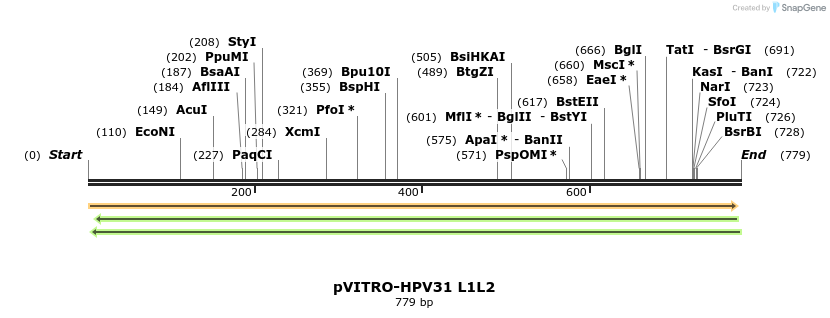 84539_map