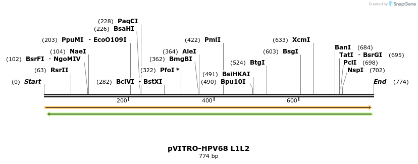 84540_map