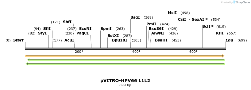 84541_map