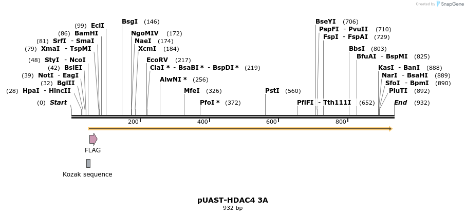 84545_map