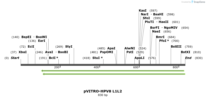 84546_map