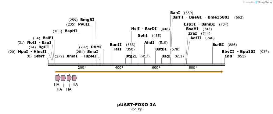 84548_map
