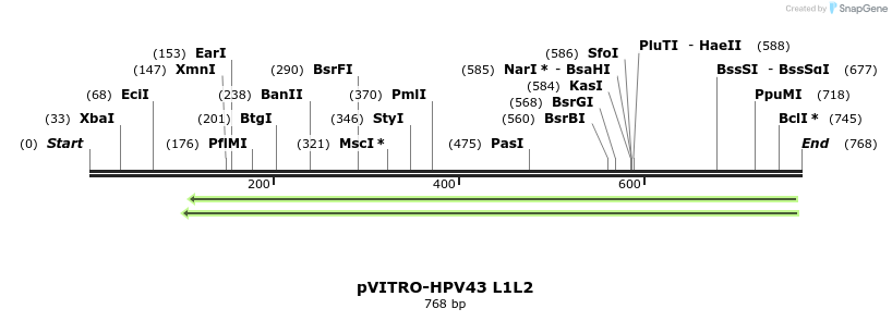 84550_map