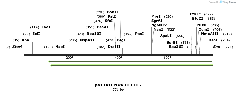84551_map