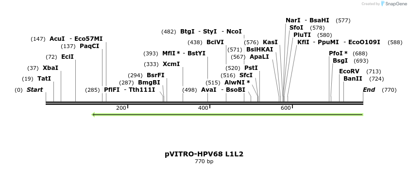 84552_map