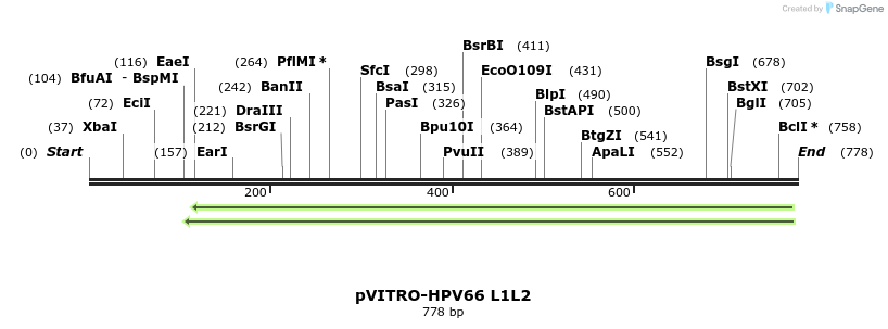 84553_map