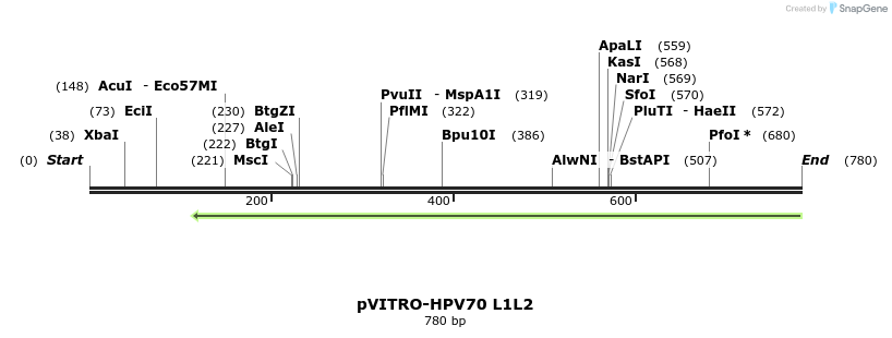 84554_map