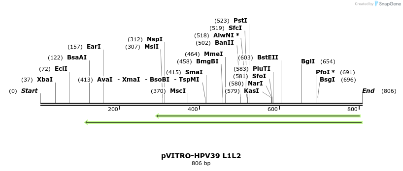 84555_map