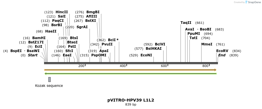 84557_map