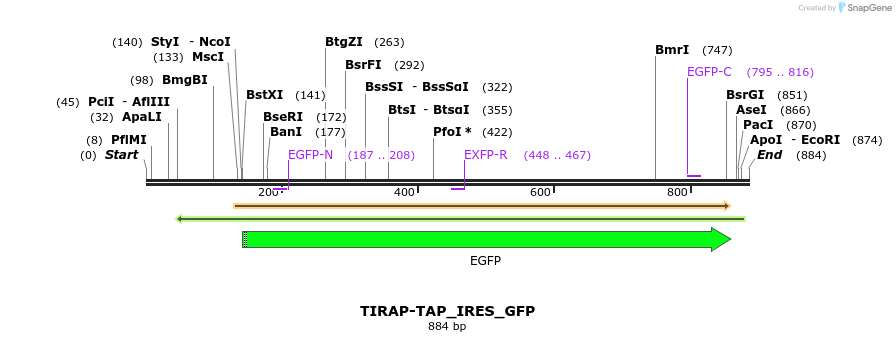 84558_map