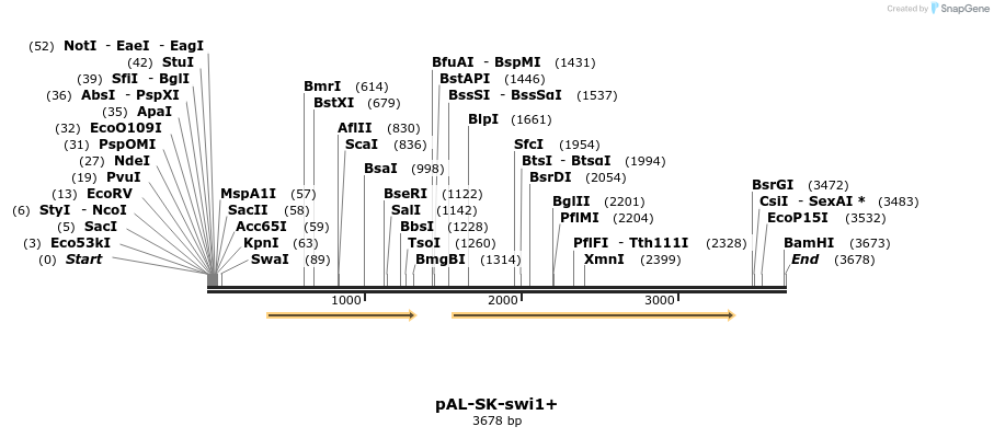 8464_map