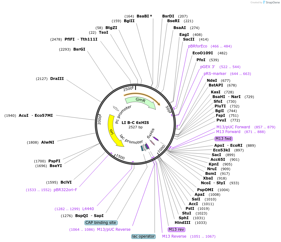 84664_map