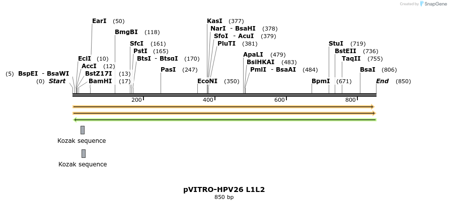 84677_map