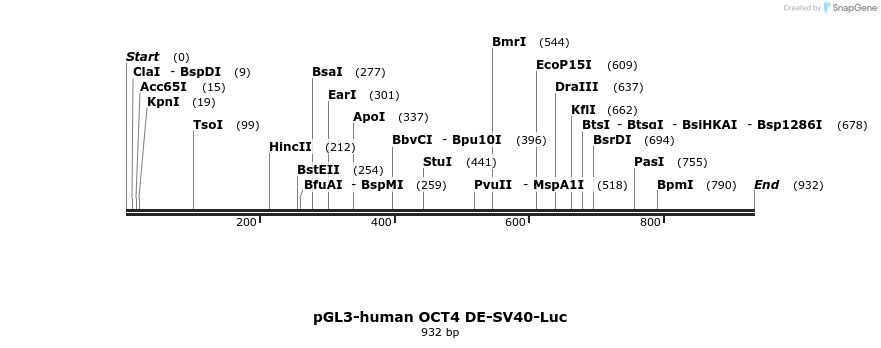 84678_map