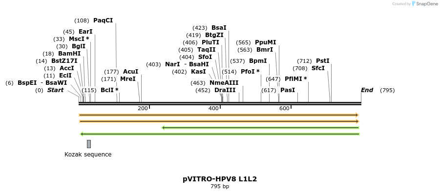 84679_map
