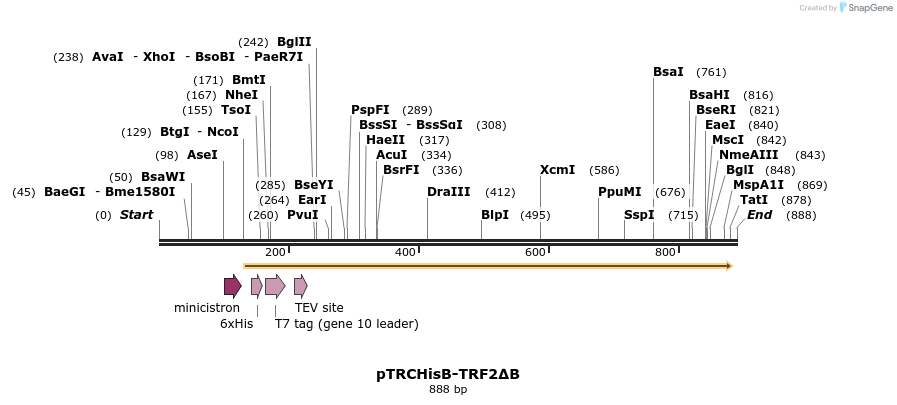 84681_map