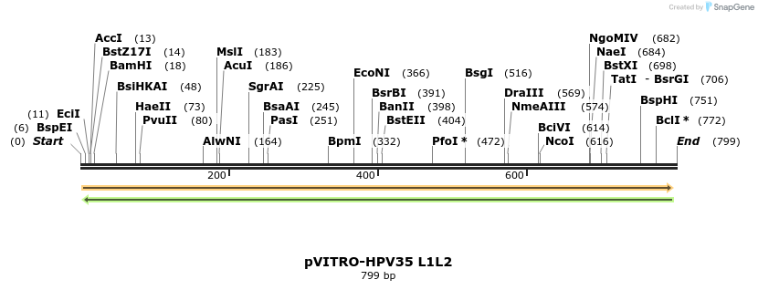 84682_map