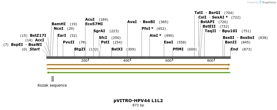 84683_map