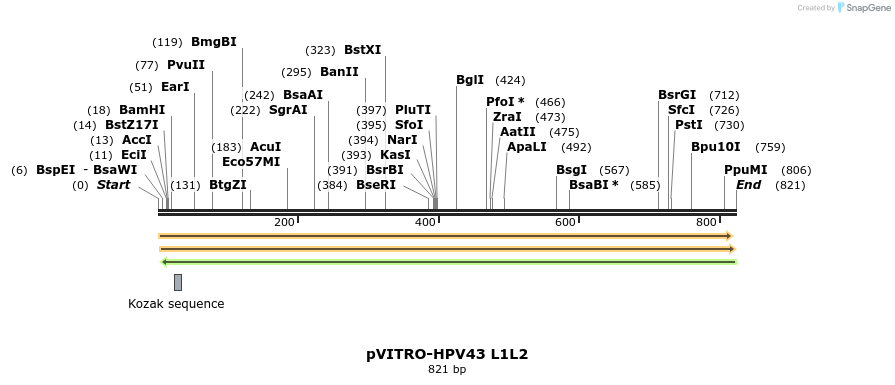 84684_map