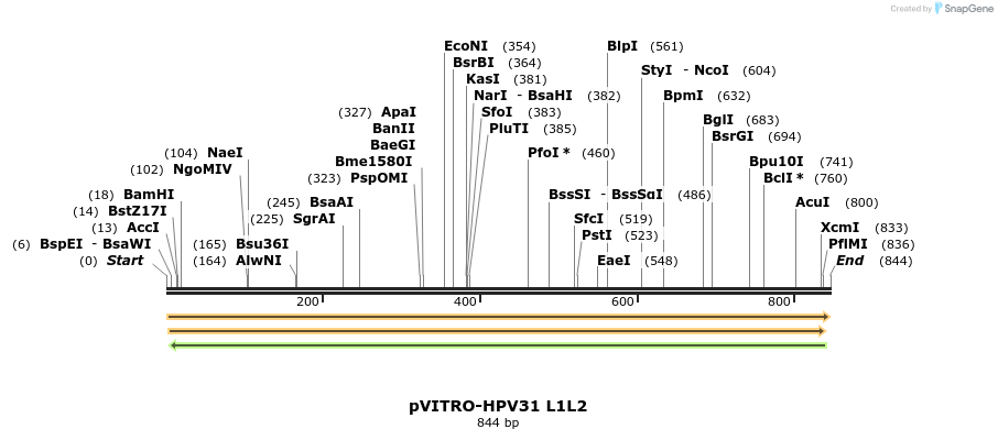84685_map