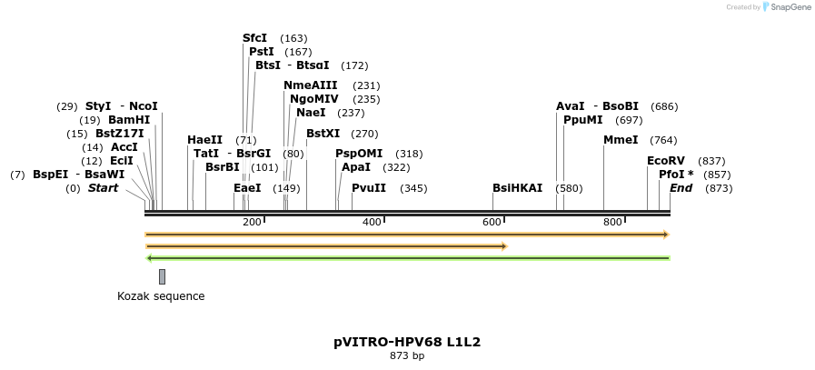 84686_map