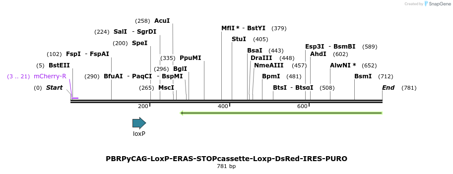 84687_map