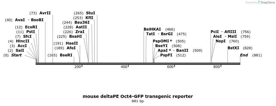 84695_map