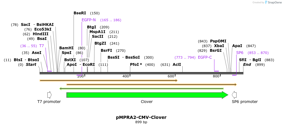 84698_map