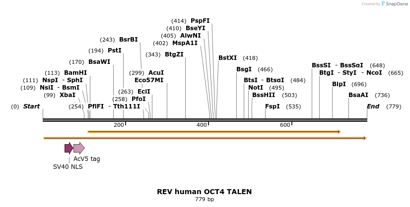 84699_map