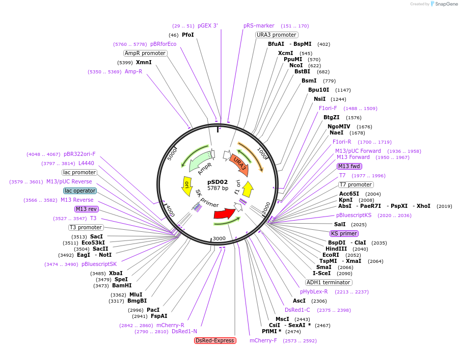 8470_map