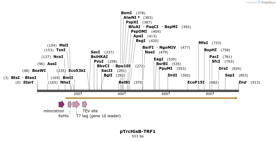 84700_map