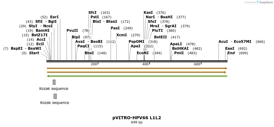 84702_map