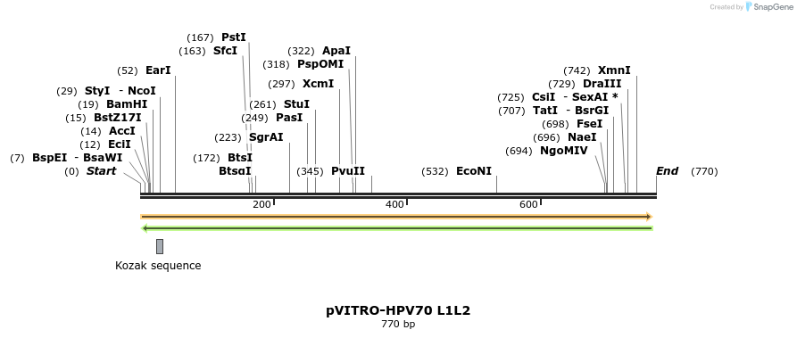 84703_map