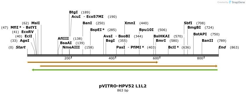 84705_map