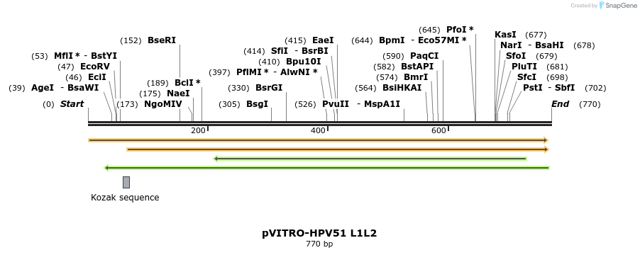 84706_map