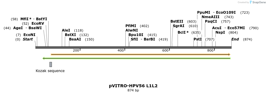 84707_map