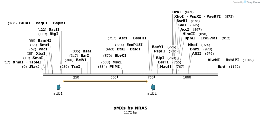 84709_map