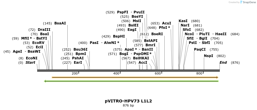 84710_map