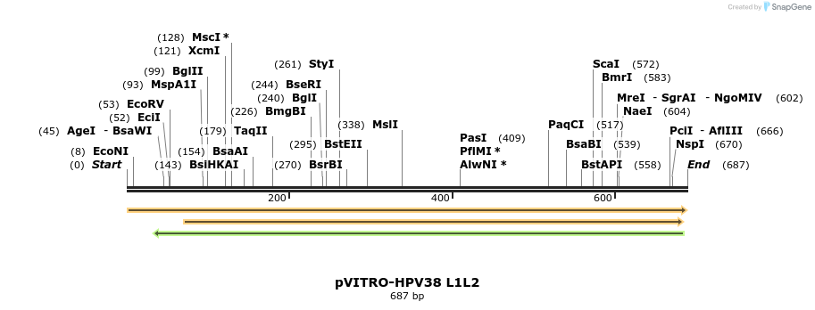 84711_map