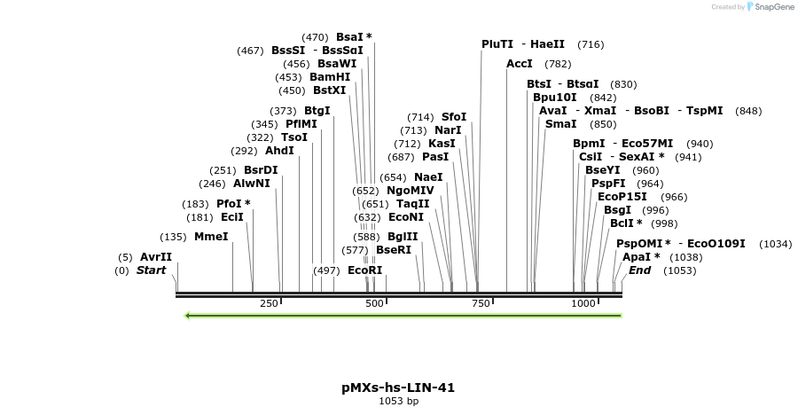 84712_map