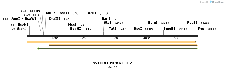 84713_map