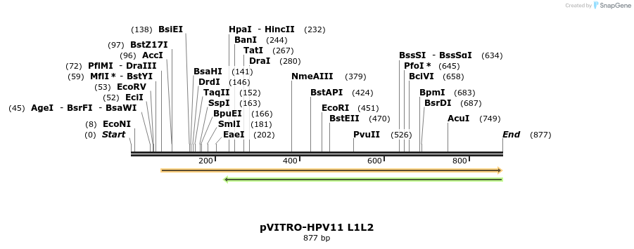 84716_map