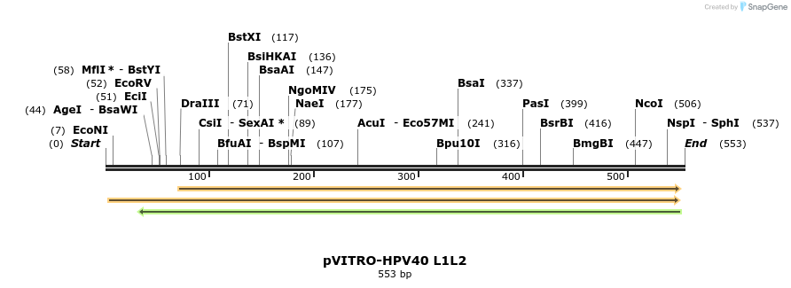 84717_map