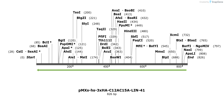 84718_map