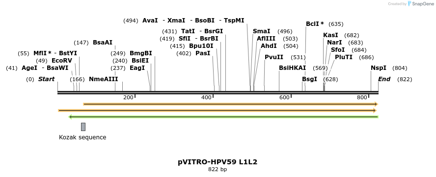 84720_map