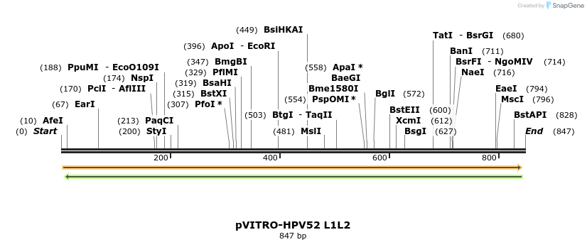 84721_map
