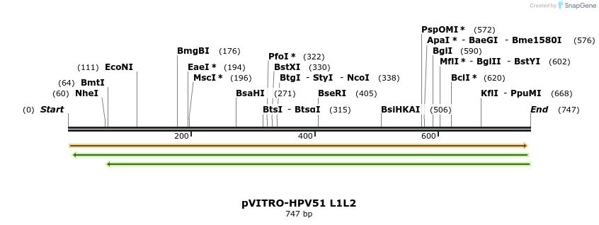 84722_map